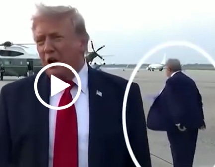 BACKUP TRUMP – WHO IS THAT